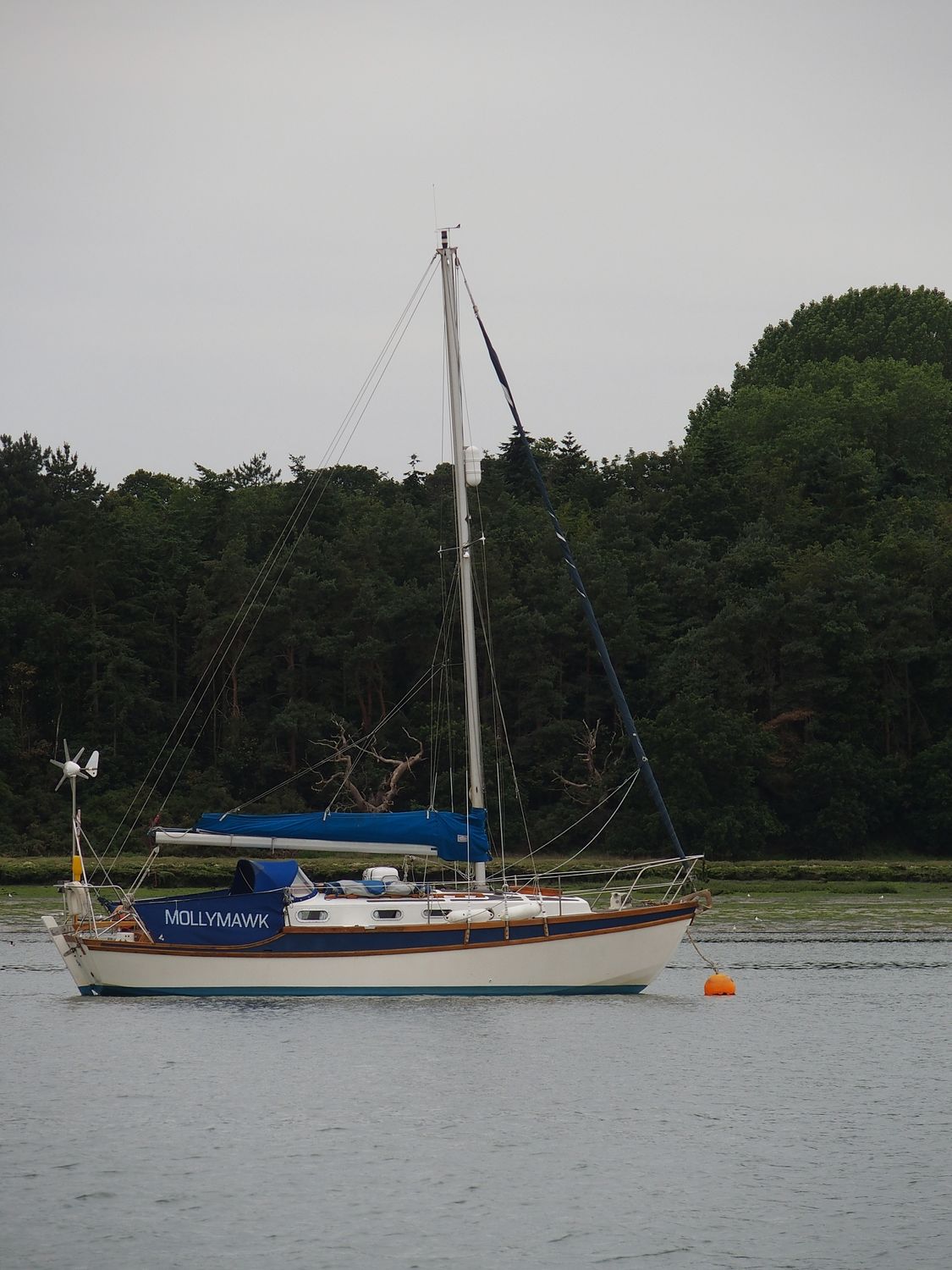 Golden Hind 31